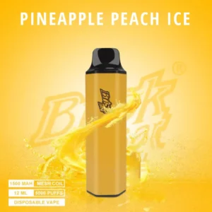 brisk bar pineapple peach ice – 5000 puffs