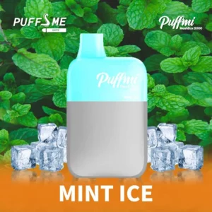 puffmi mint ice – 5000 puffs