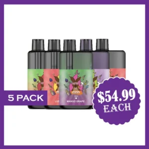 groo max – 10000 puffs – 5 pack